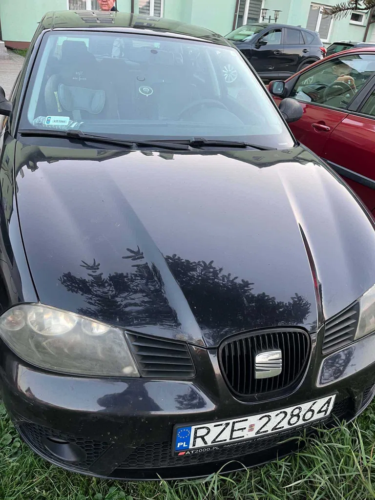 Zdjęcie: 2008 Seat Ibiza