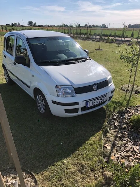 Zdjęcie: 2010 Fiat Panda