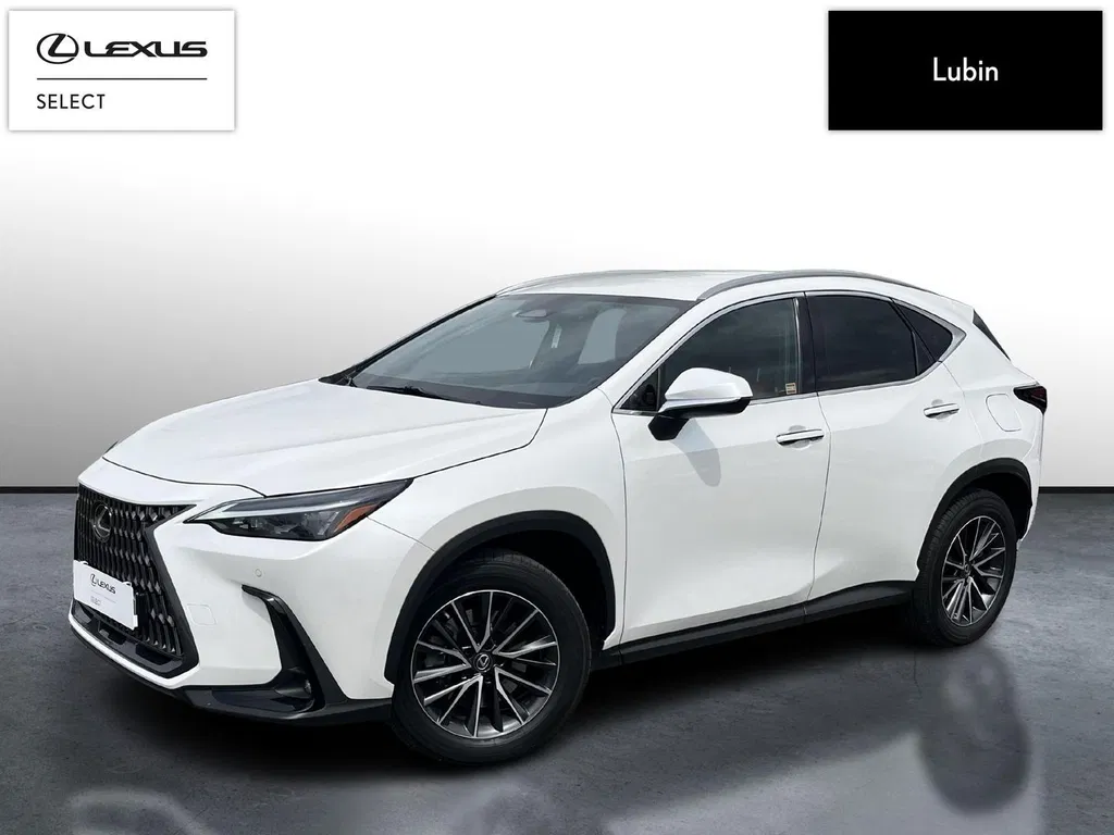 Zdjęcie: 2023 Lexus NX