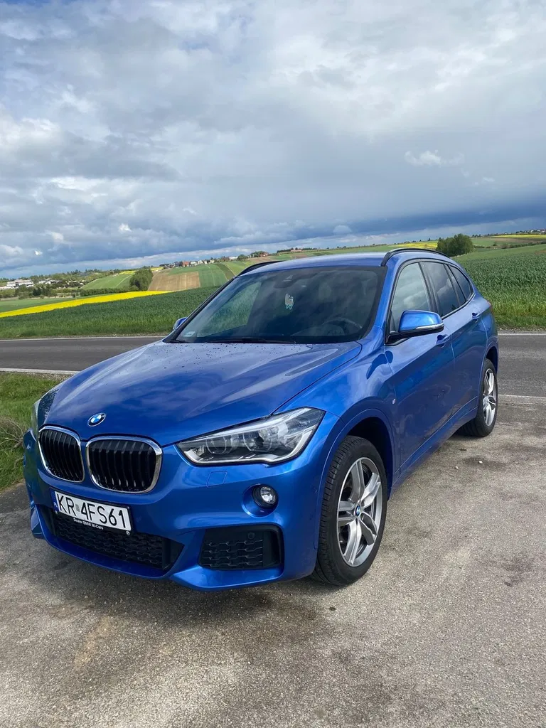 Zdjęcie: 2017 BMW X1