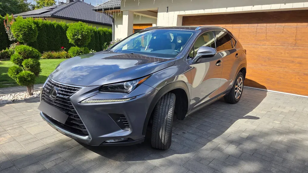 Zdjęcie: 2019 Lexus NX