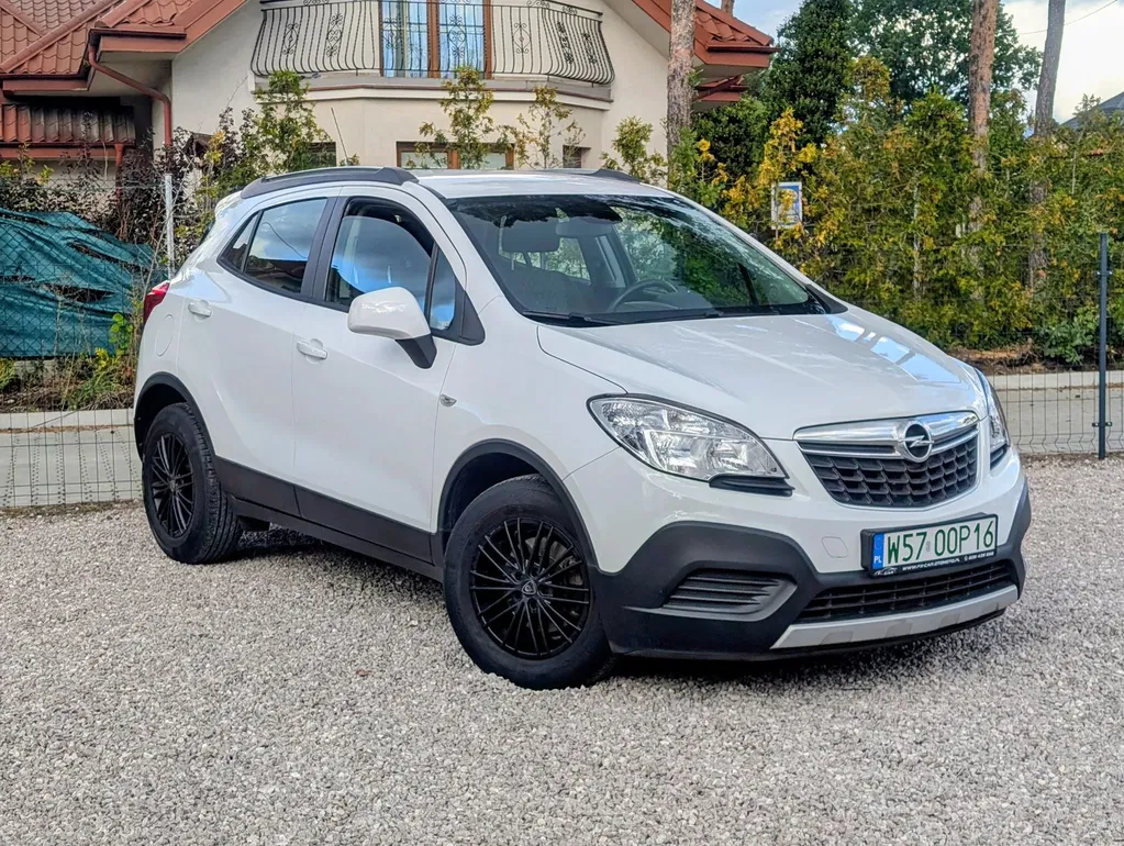 Zdjęcie: 2014 Opel Mokka