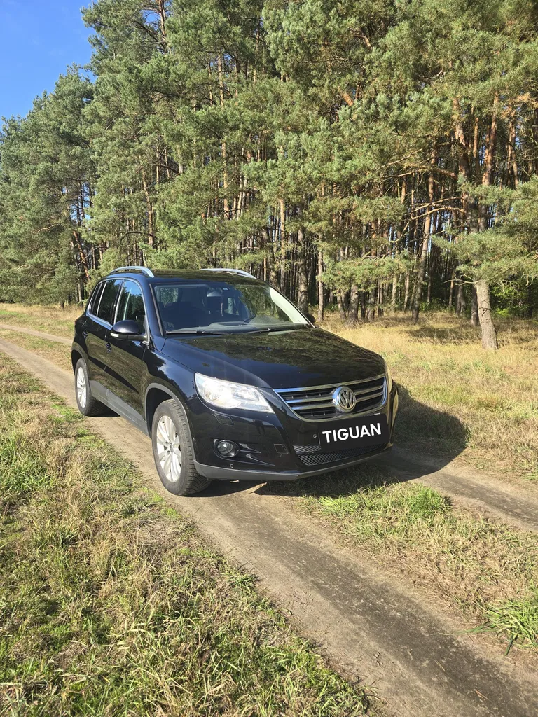 Zdjęcie: 2010 Volkswagen Tiguan