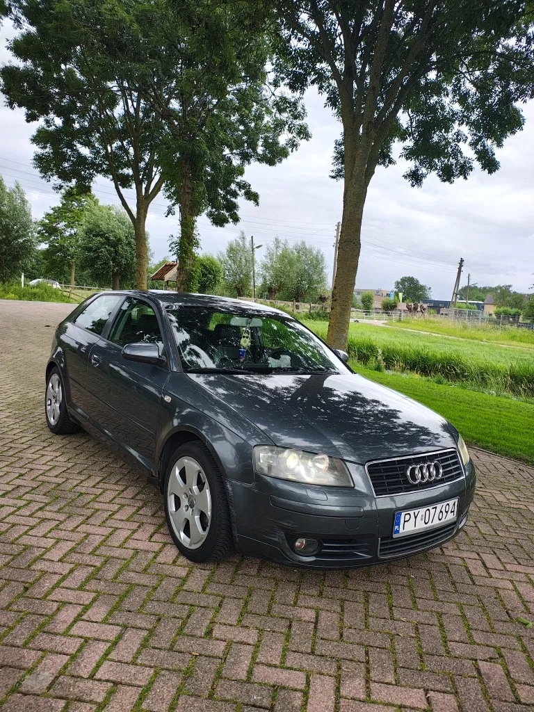 Zdjęcie: 2003 Audi A3 3-drzwiowe
