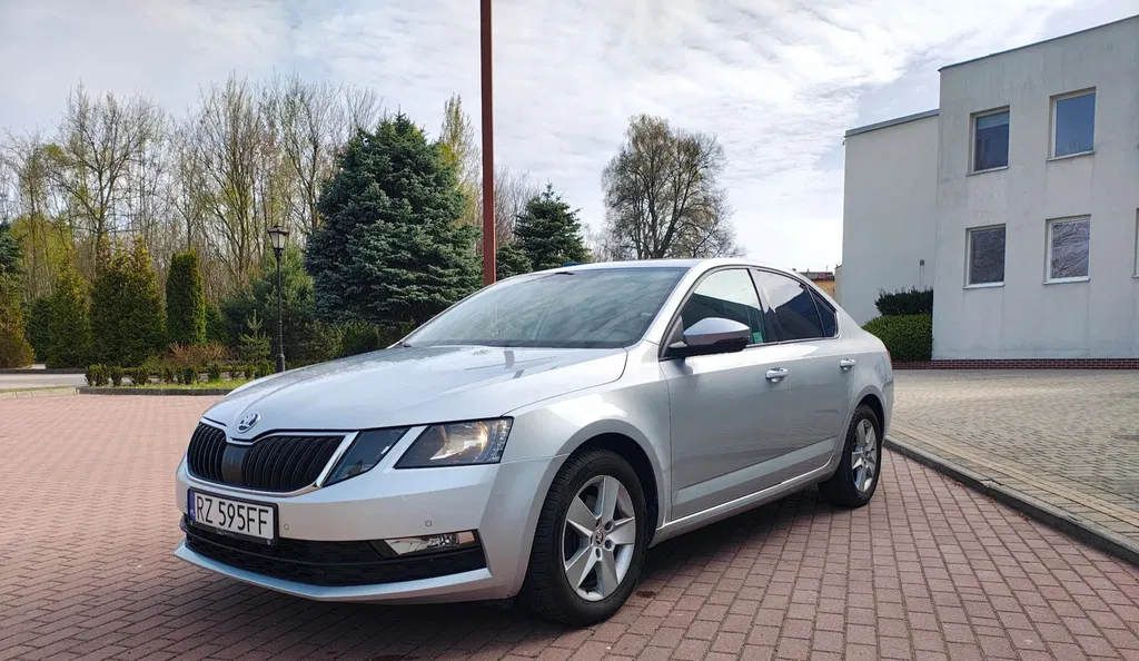 Zdjęcie: 2019 Skoda Octavia