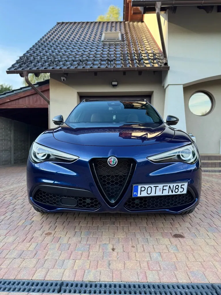 Zdjęcie: 2019 Alfa Romeo Stelvio