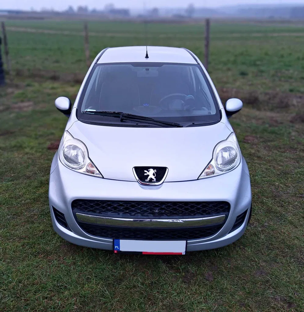 Zdjęcie: 2008 Peugeot 107