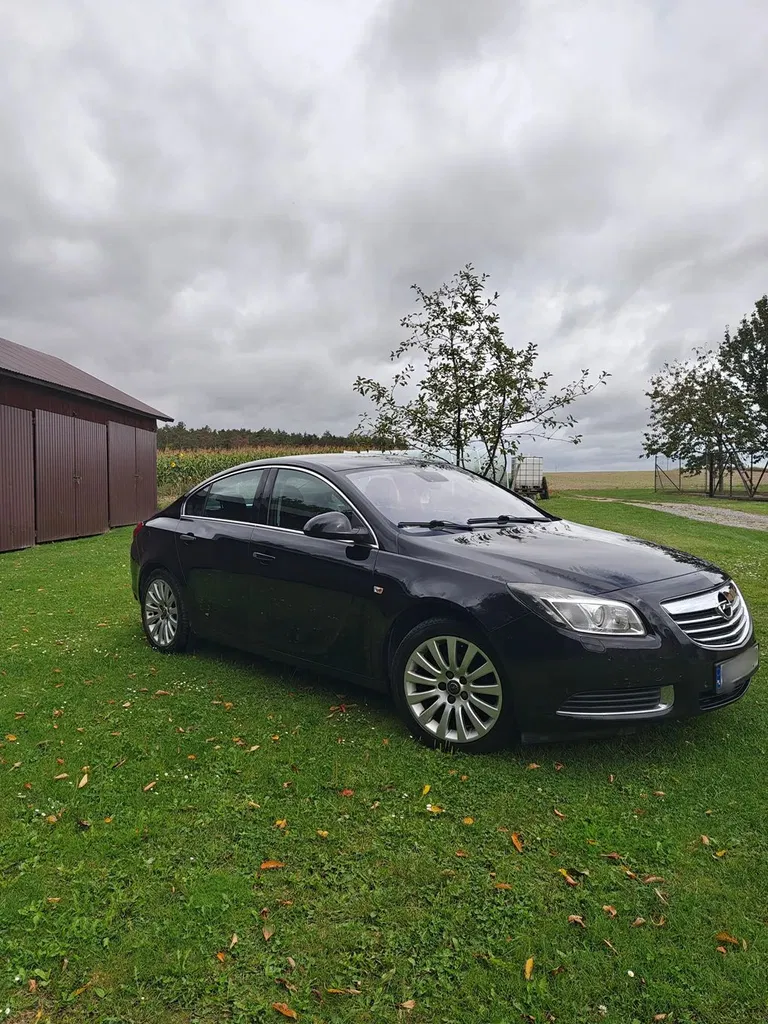 Zdjęcie: 2009 Opel Insignia