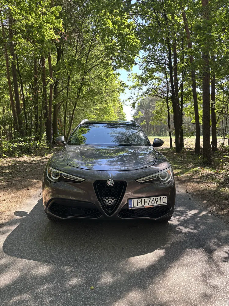Zdjęcie: 2017 Alfa Romeo Stelvio