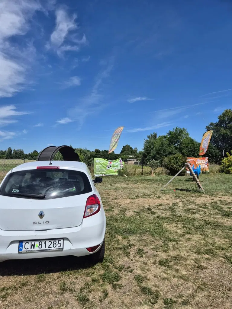 Zdjęcie: 2010 Renault Clio