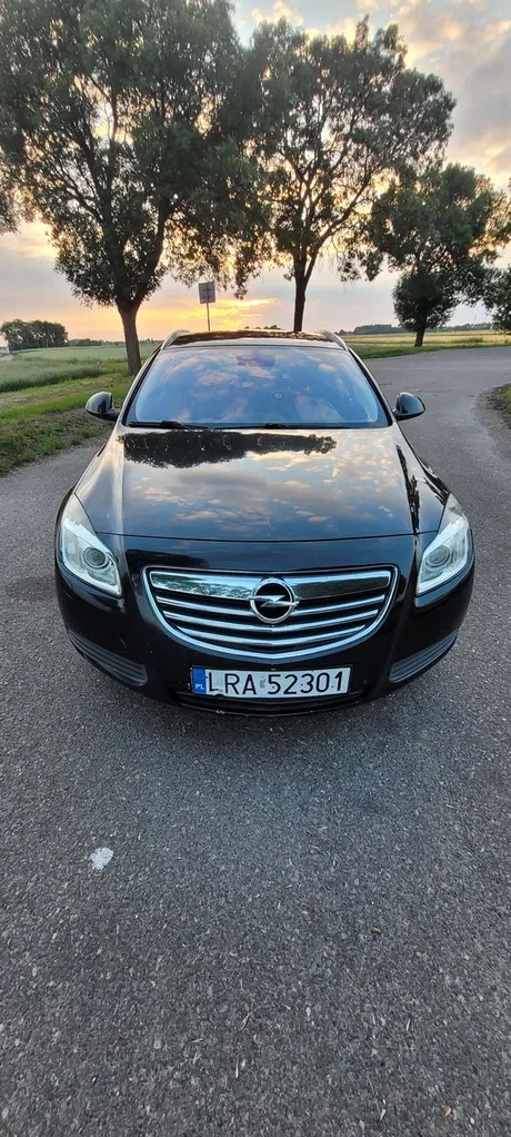 Zdjęcie: 2010 Opel Insignia