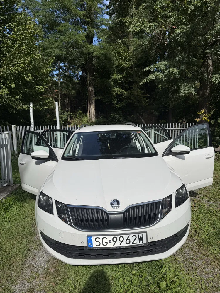 Zdjęcie: 2019 Skoda Octavia
