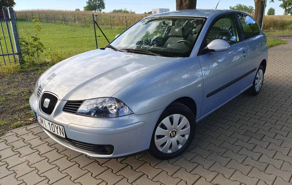 Zdjęcie: 2002 Seat Ibiza