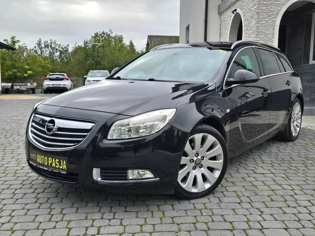 Zdjęcie: 2010 Opel Insignia