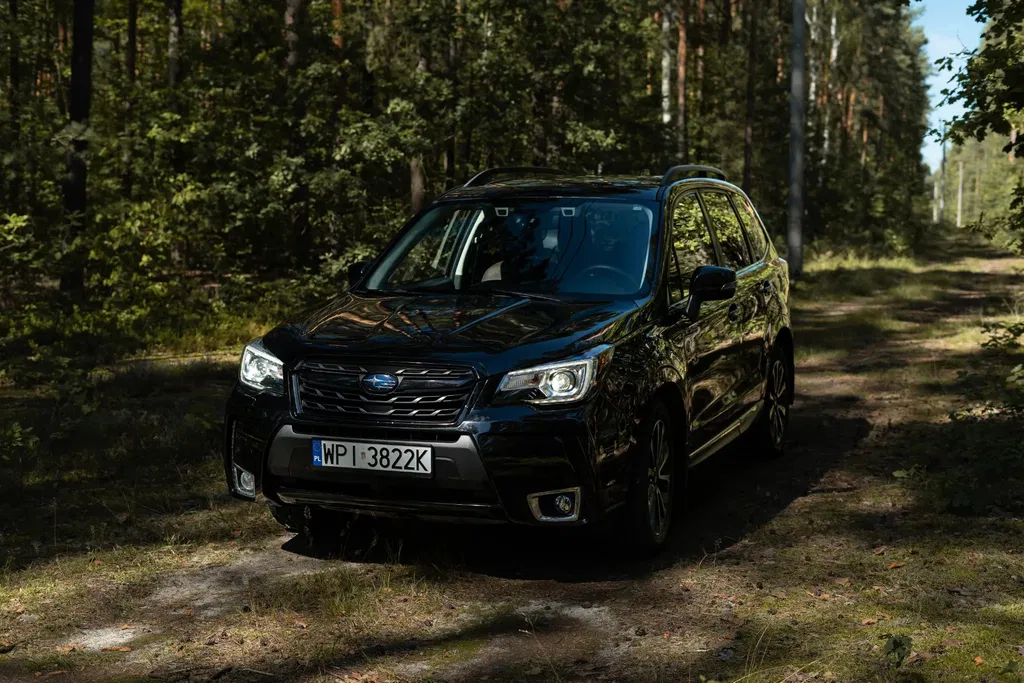 Zdjęcie: 2016 Subaru Forester