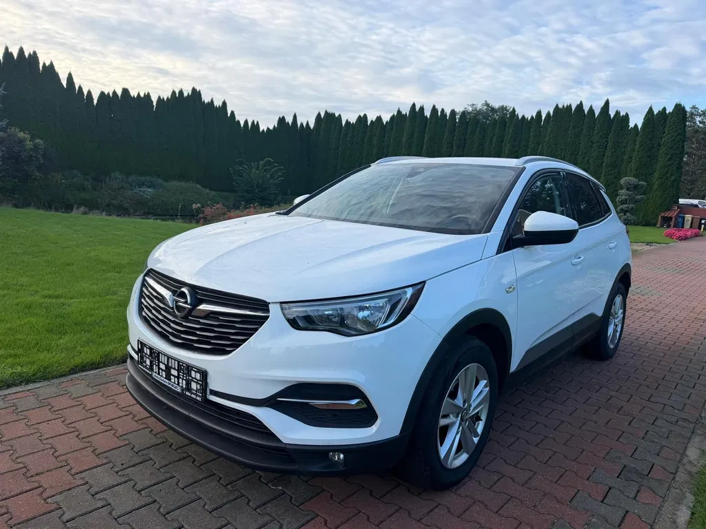 Zdjęcie: 2018 Opel Grandland X