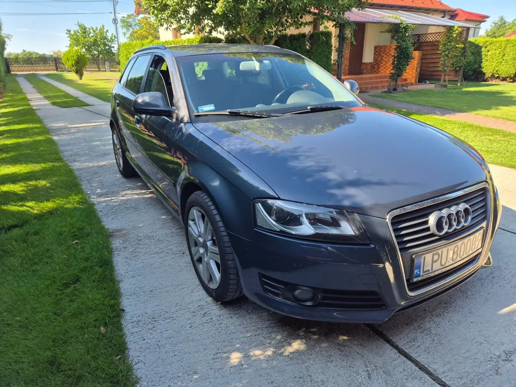 Zdjęcie: 2010 Audi A3 Sportback