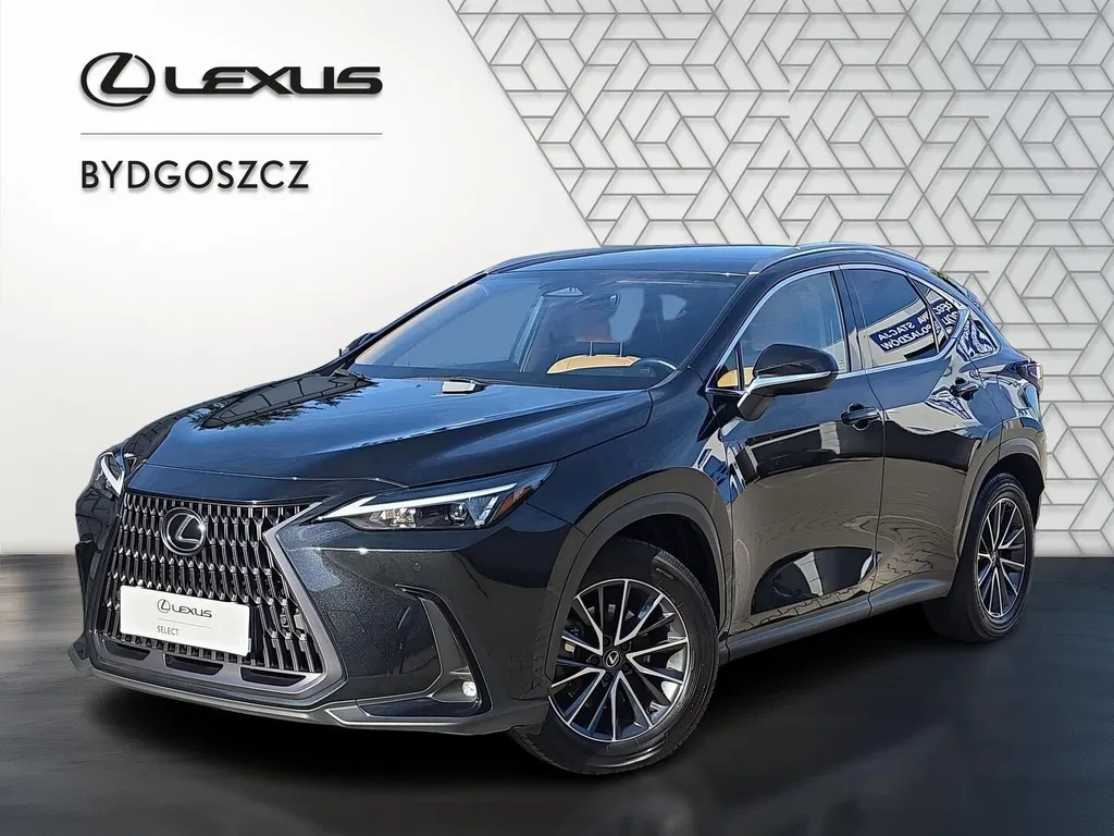 Zdjęcie: 2024 Lexus NX