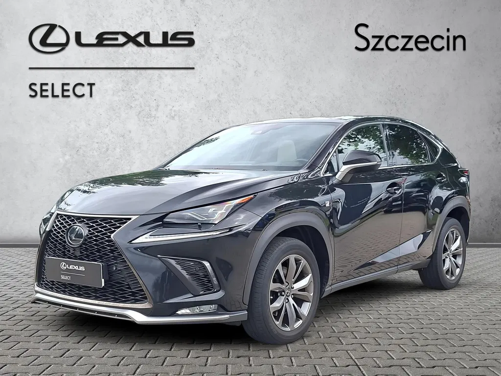 Zdjęcie: 2019 Lexus NX