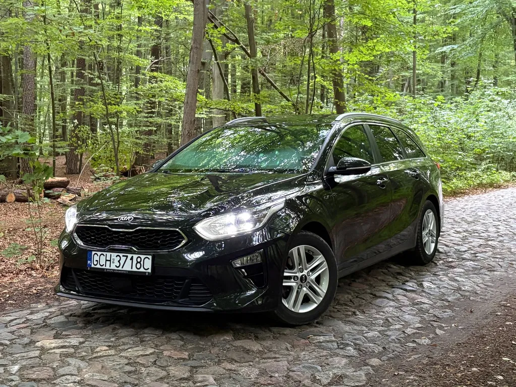 Zdjęcie: 2019 Kia Cee'd