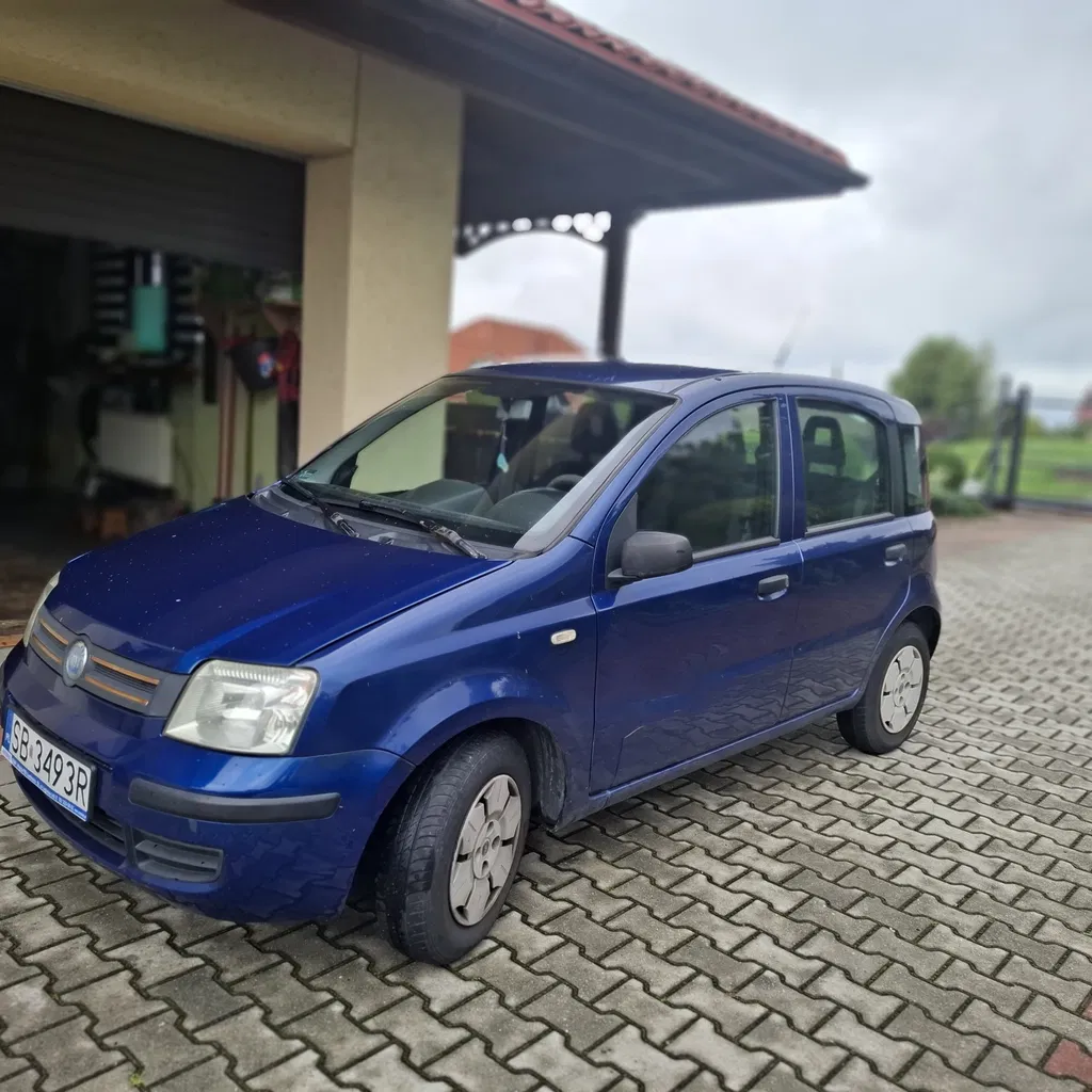 Zdjęcie: 2007 Fiat Panda