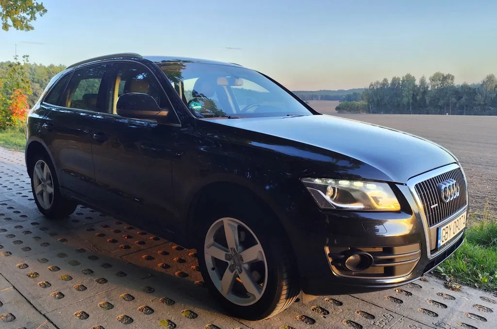 Zdjęcie: 2009 Audi Q5