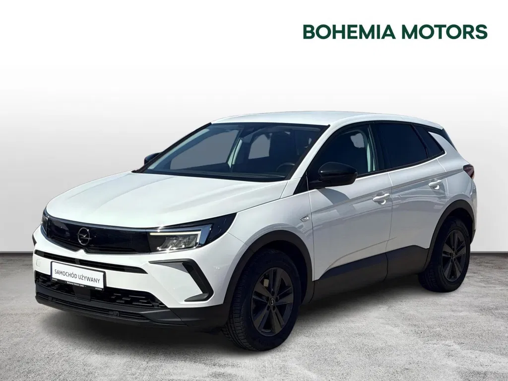Zdjęcie: 2022 Opel Grandland X