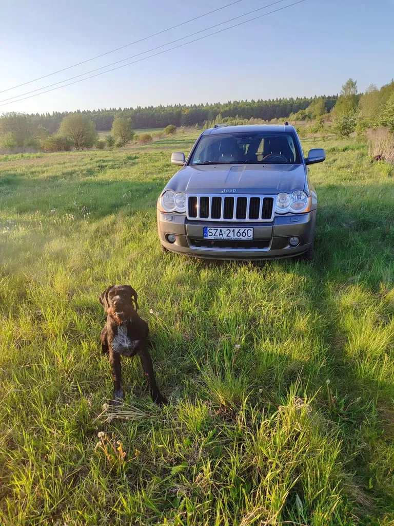 Zdjęcie: 2008 Jeep Grand Cherokee