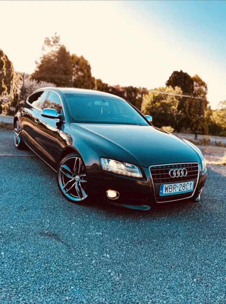 Zdjęcie: 2010 Audi A5 Sportback