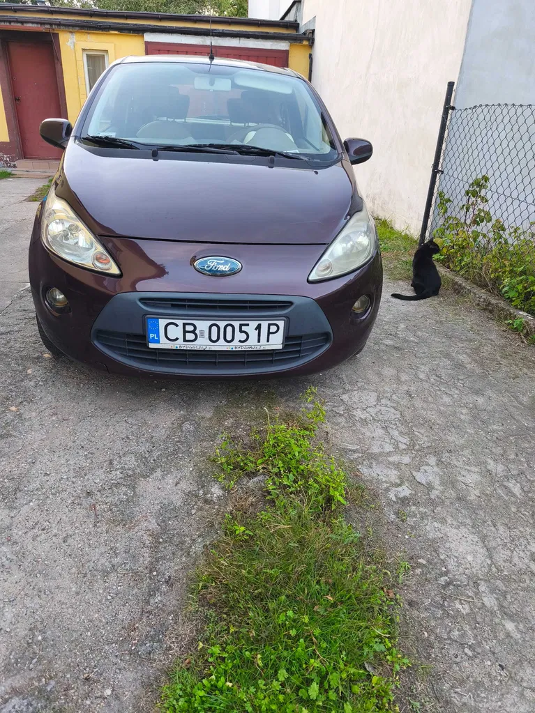 Zdjęcie: 2008 Ford KA