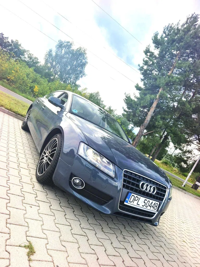 Zdjęcie: 2011 Audi A5 Sportback