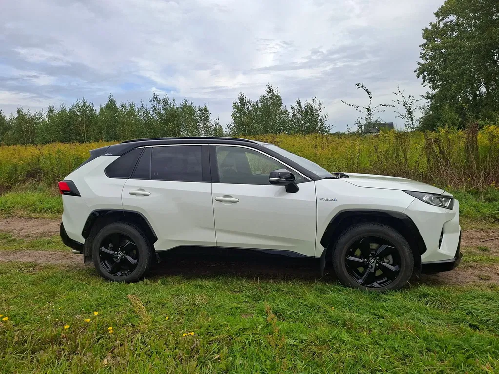 Zdjęcie: 2019 Toyota RAV-4