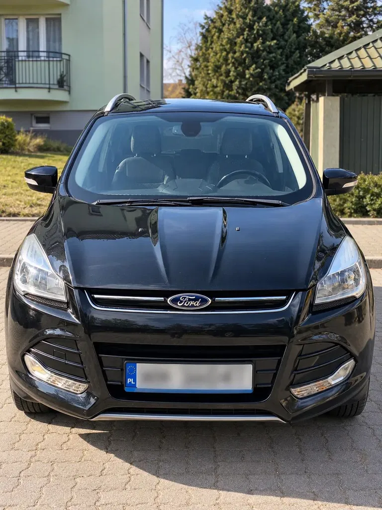 Zdjęcie: 2014 Ford Escape