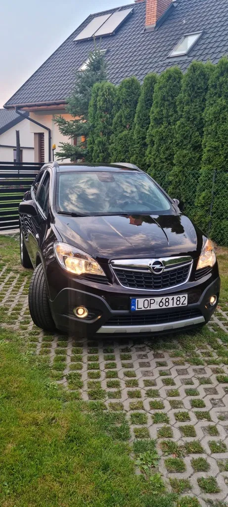 Zdjęcie: 2012 Opel Mokka