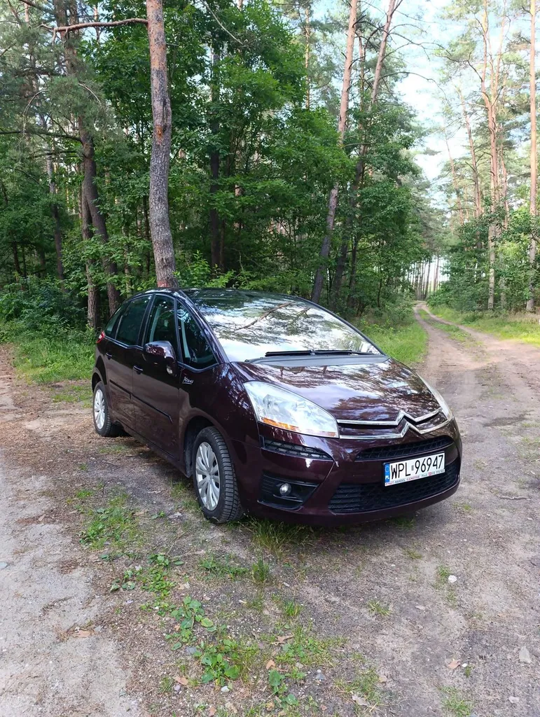 Zdjęcie: 2007 Citroen C4 Picasso