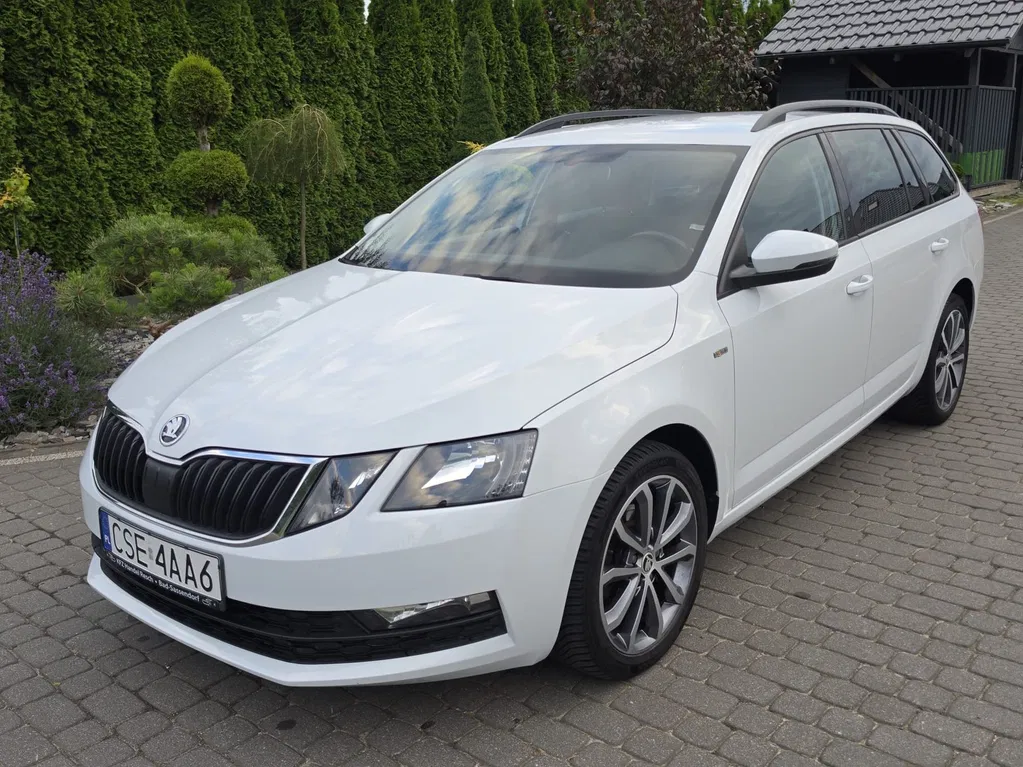 Zdjęcie: 2019 Skoda Octavia