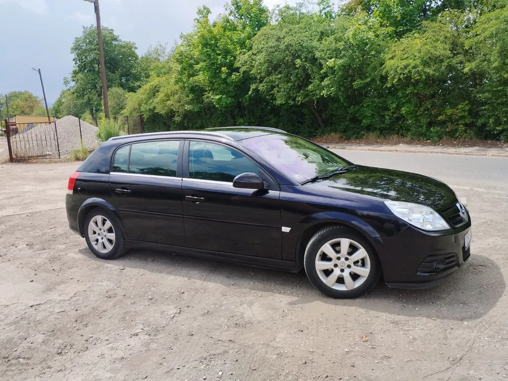 Zdjęcie: 2007 Opel Signum