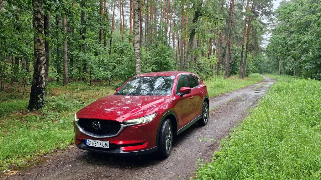 Zdjęcie: 2019 Mazda CX-5