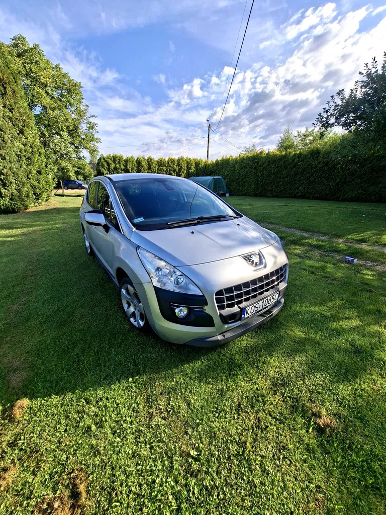 Zdjęcie: 2010 Peugeot 3008