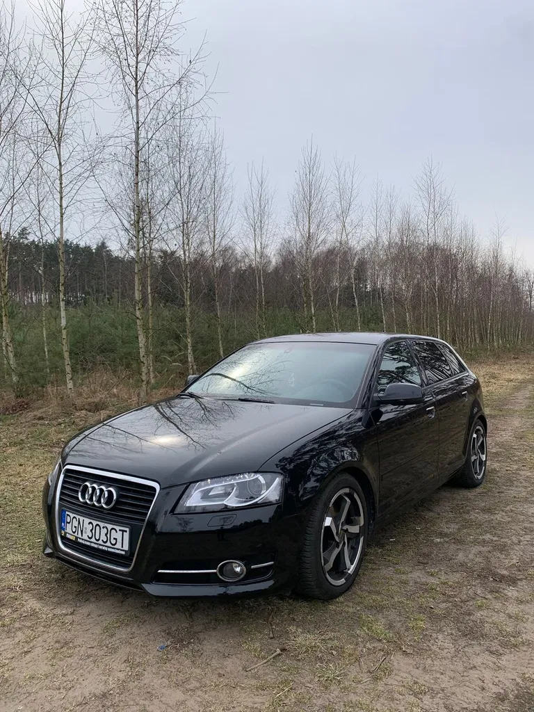 Zdjęcie: 2010 Audi A3 Allstreet