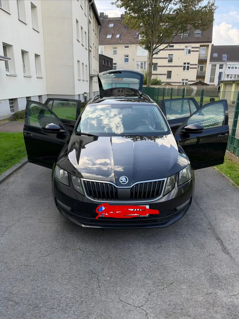 Zdjęcie: 2017 Skoda Octavia