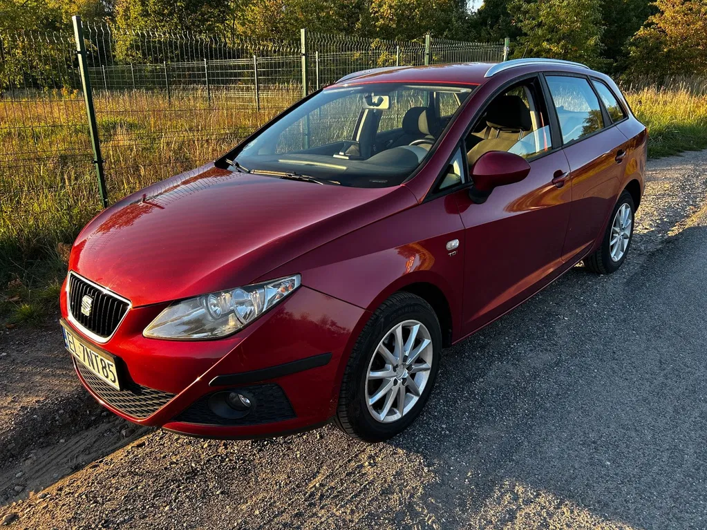 Zdjęcie: 2010 Seat Ibiza