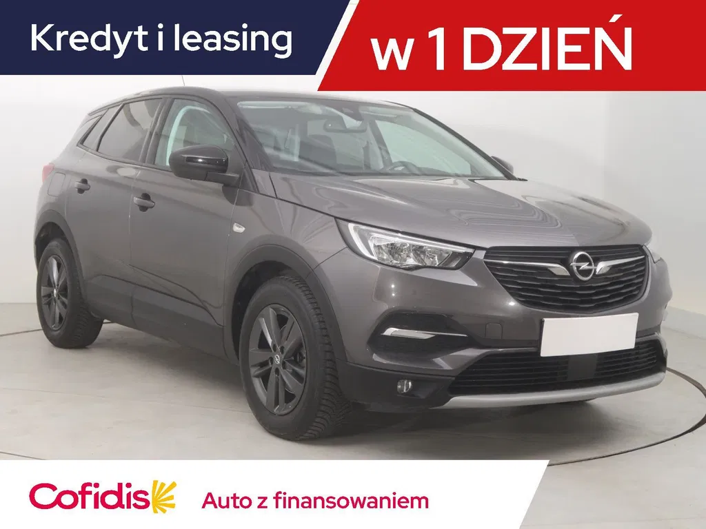 Zdjęcie: 2021 Opel Grandland X