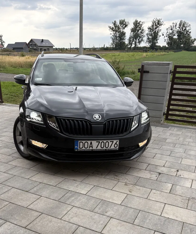 Zdjęcie: 2019 Skoda Octavia