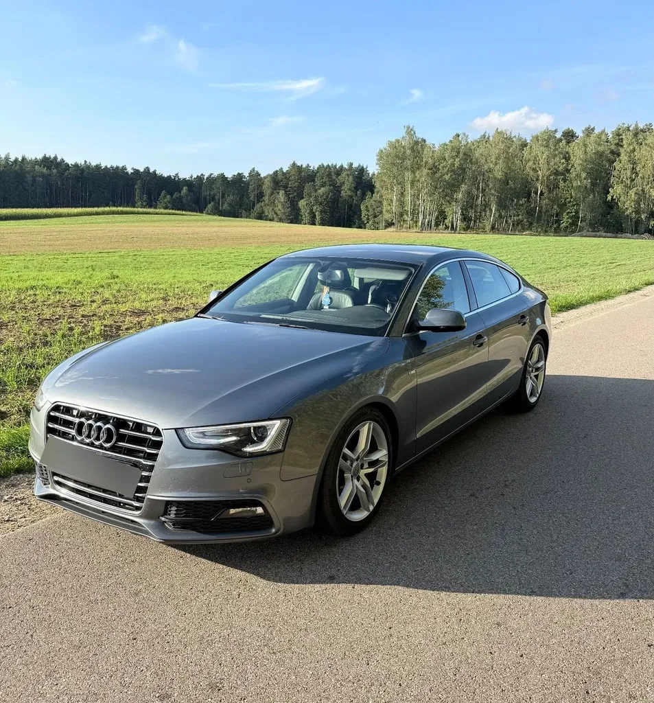 Zdjęcie: 2014 Audi A5 Sportback