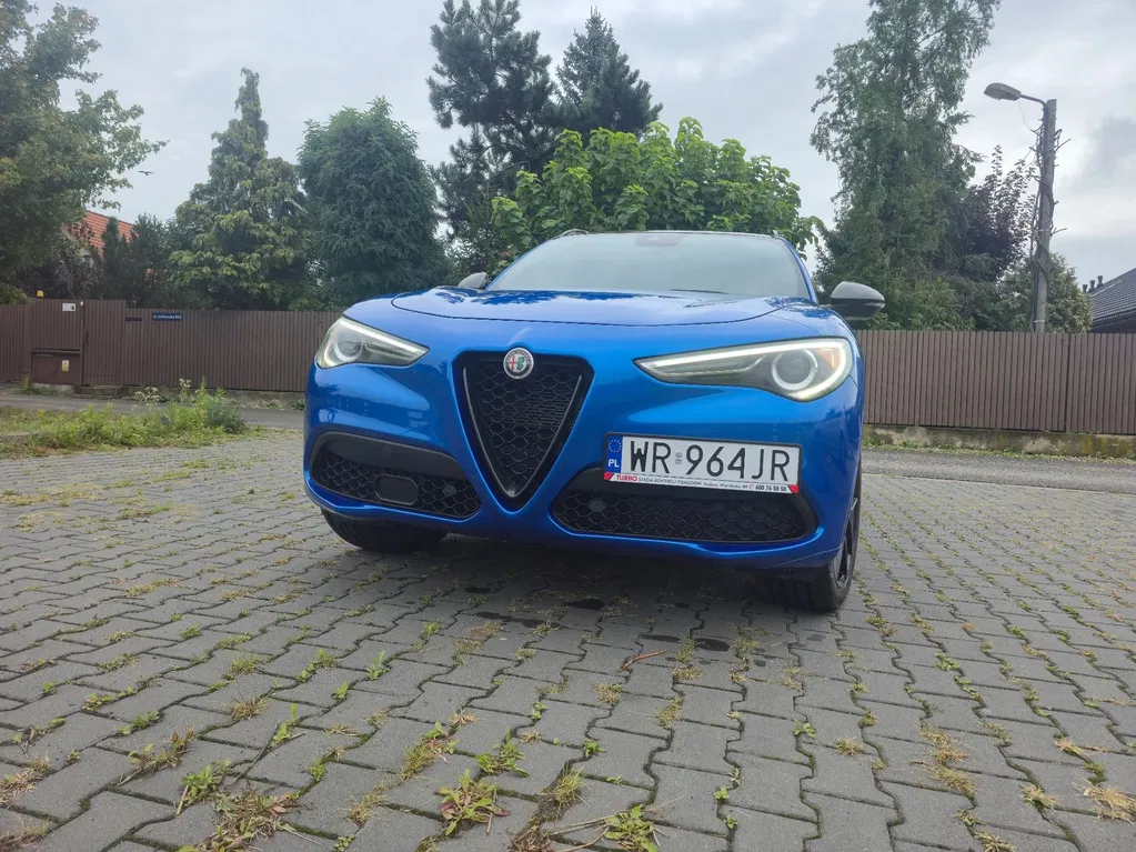 Zdjęcie: 2019 Alfa Romeo Stelvio