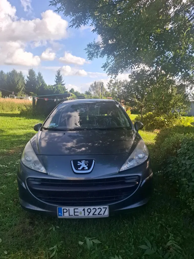 Zdjęcie: 2007 Peugeot 207
