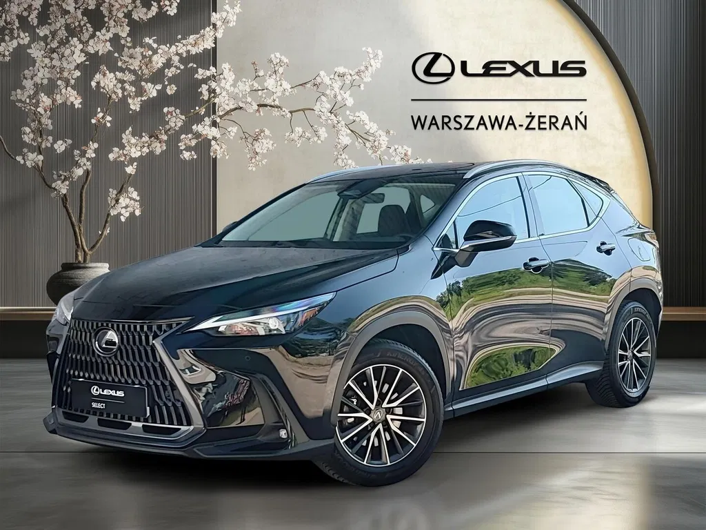 Zdjęcie: 2024 Lexus NX