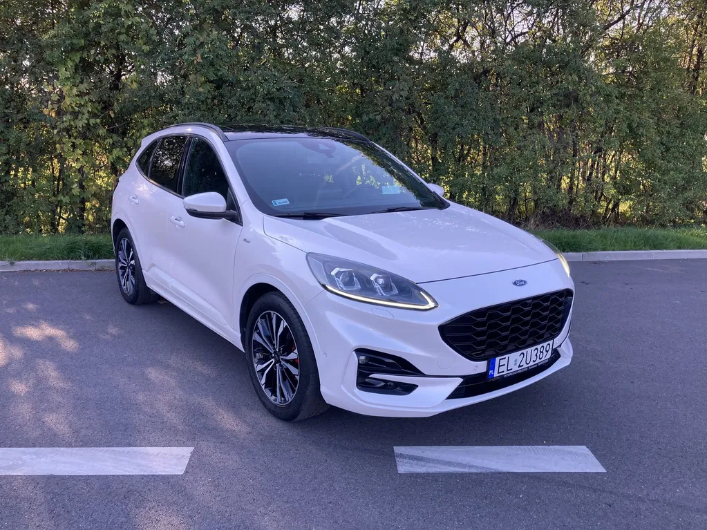 Zdjęcie: 2020 Ford Kuga