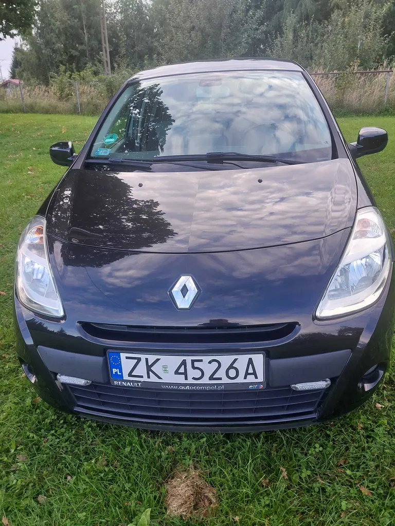 Zdjęcie: 2009 Renault Clio